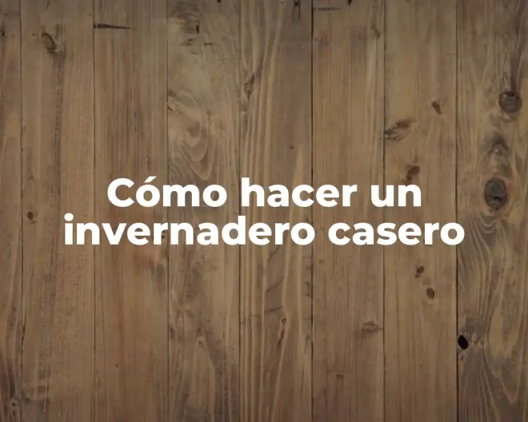 Cómo hacer un invernadero casero