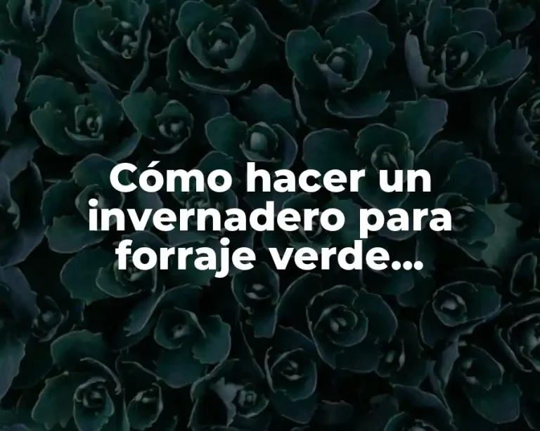 Cómo hacer un invernadero para forraje verde hidroponico