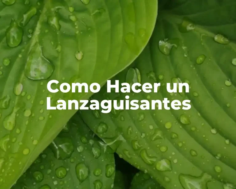 Como Hacer un Lanzaguisantes