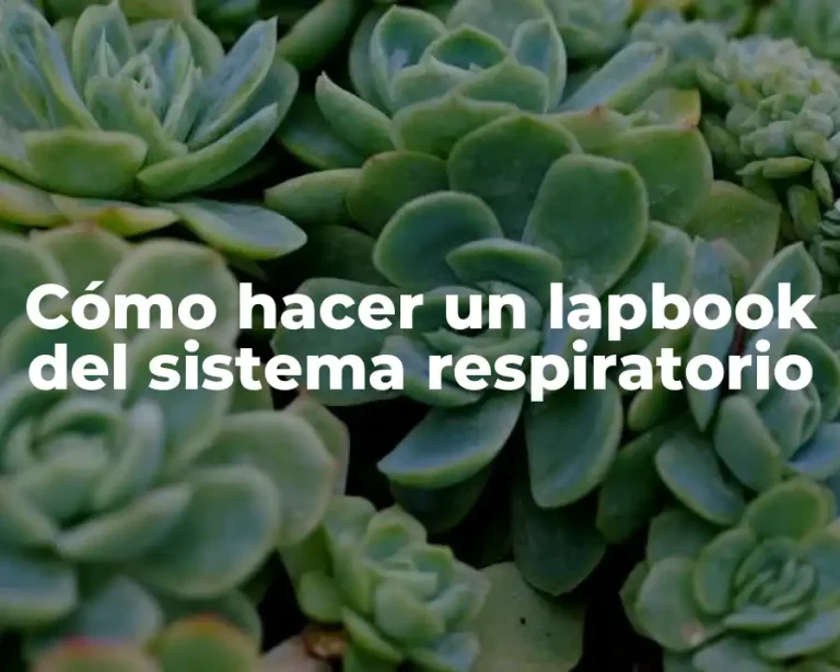 Cómo hacer un lapbook del sistema respiratorio