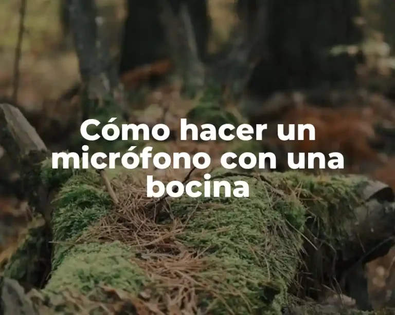 Cómo hacer un micrófono con una bocina