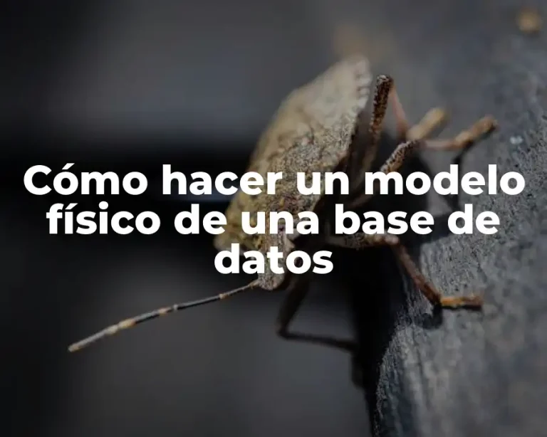 Cómo hacer un modelo físico de una base de datos
