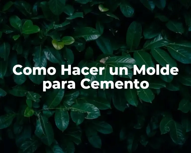 Como Hacer un Molde para Cemento