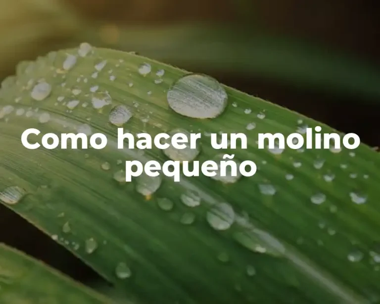 Como hacer un molino pequeño