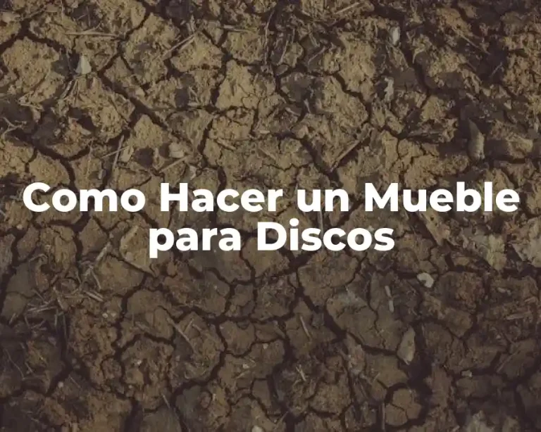 Como Hacer un Mueble para Discos