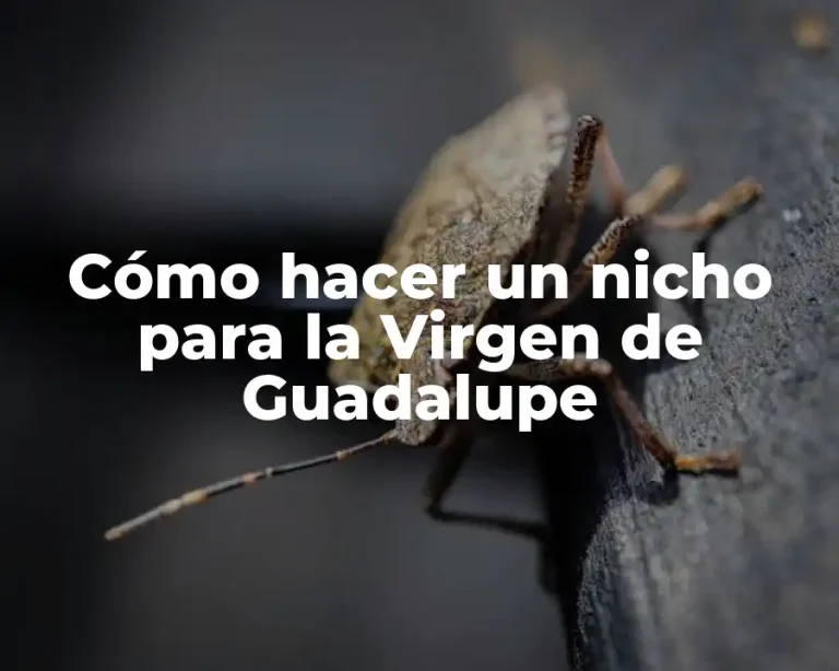 Cómo hacer un nicho para la Virgen de Guadalupe