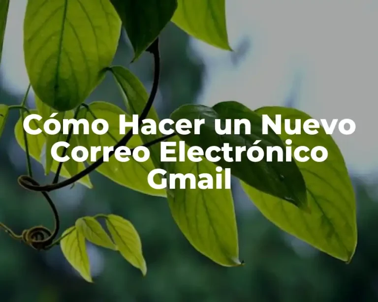 Cómo Hacer un Nuevo Correo Electrónico Gmail