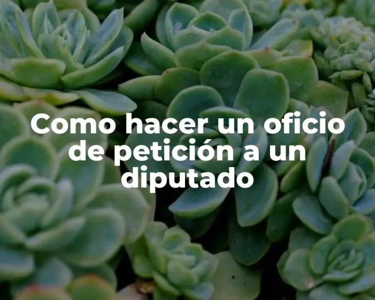Como hacer un oficio de petición a un diputado