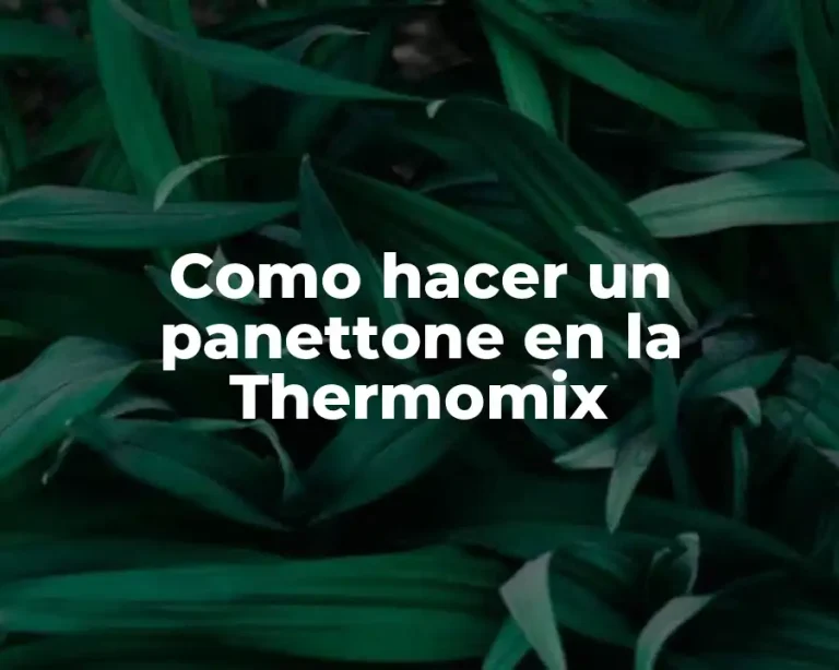 Como hacer un panettone en la Thermomix