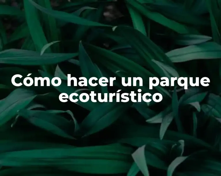 Cómo hacer un parque ecoturístico