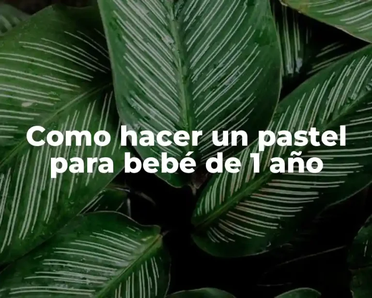 Como hacer un pastel para bebé de 1 año