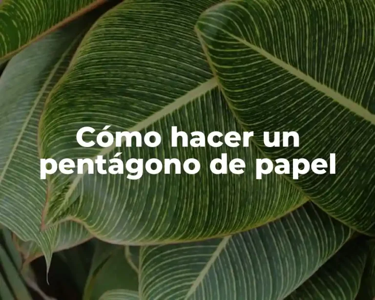 Cómo hacer un pentágono de papel