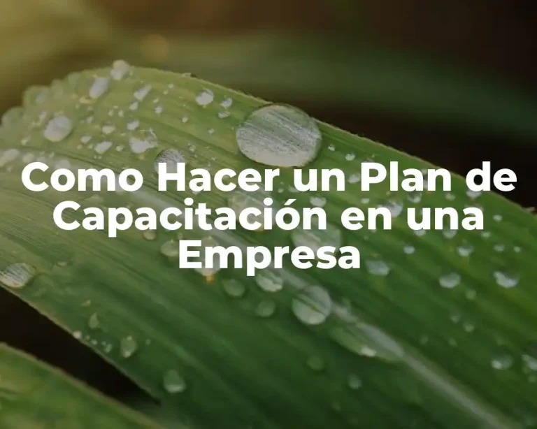 Como Hacer un Plan de Capacitación en una Empresa
