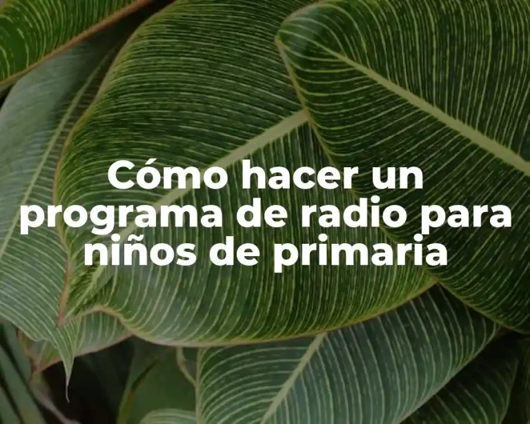 Cómo hacer un programa de radio para niños de primaria