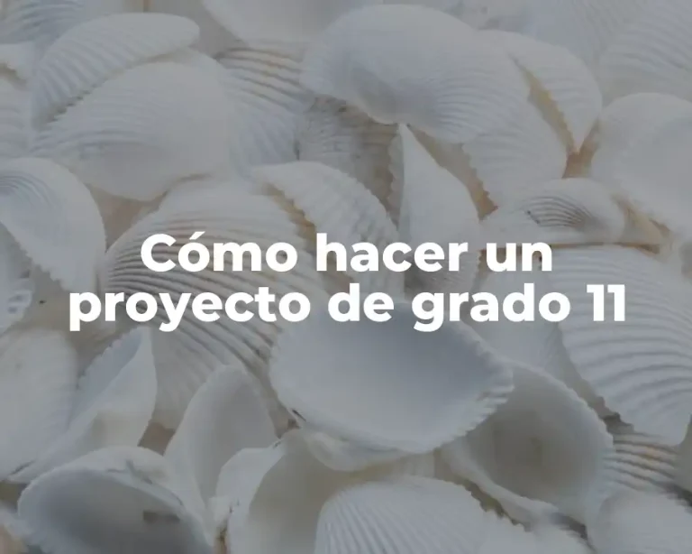 Cómo hacer un proyecto de grado 11