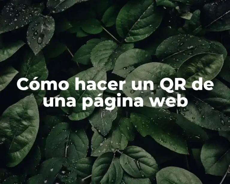 Cómo hacer un QR de una página web