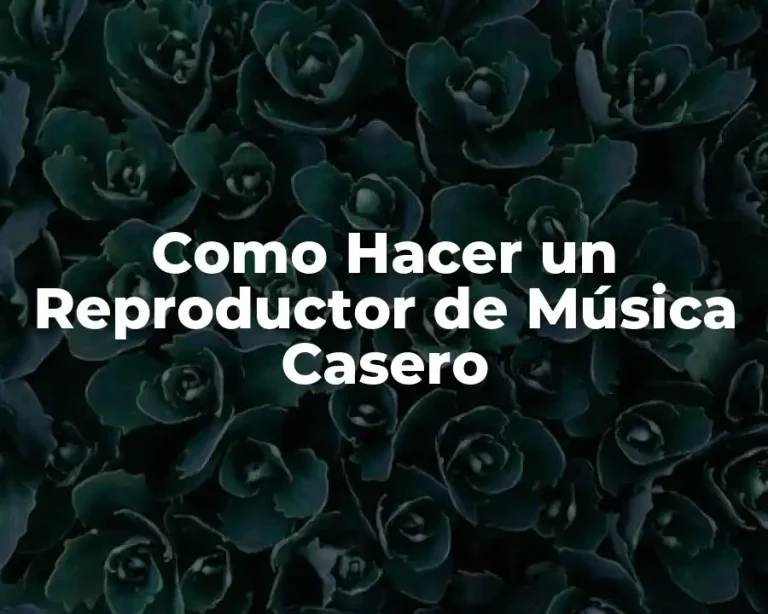 Como Hacer un Reproductor de Música Casero