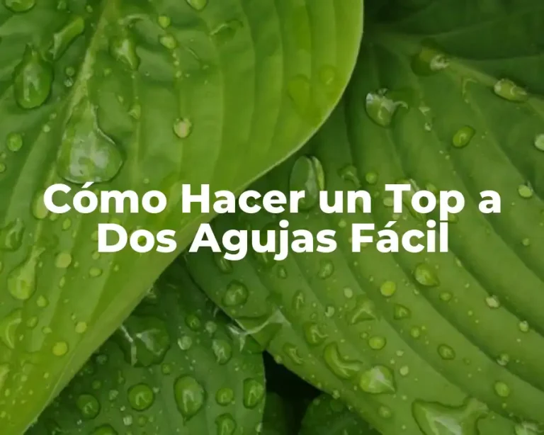 Cómo Hacer un Top a Dos Agujas Fácil
