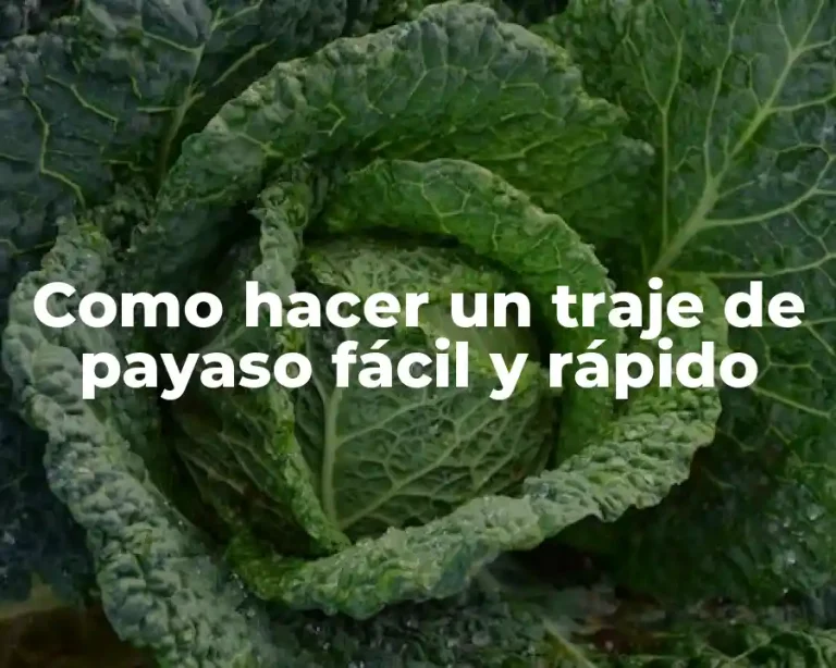 Como hacer un traje de payaso fácil y rápido