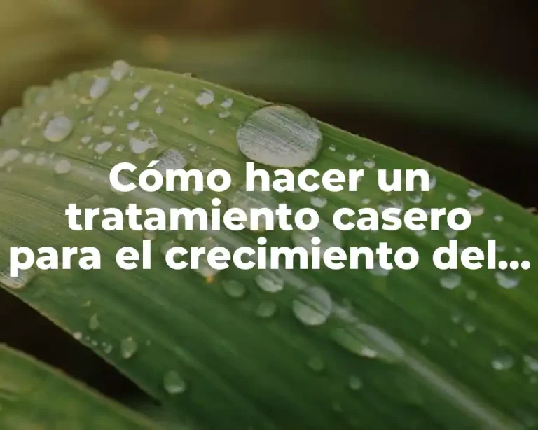 Cómo hacer un tratamiento casero para el crecimiento del cabello