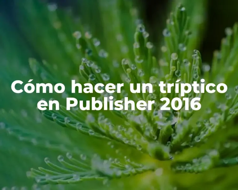 Cómo hacer un tríptico en Publisher 2016