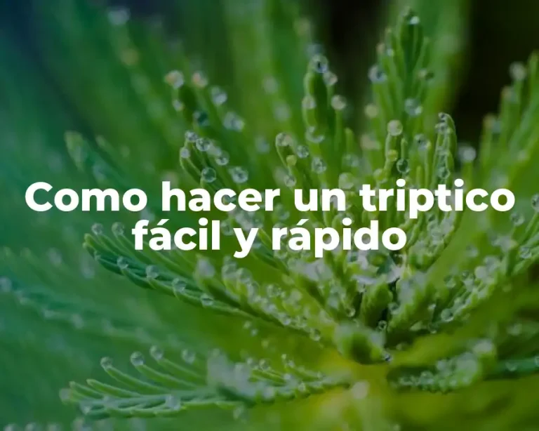 Como hacer un triptico fácil y rápido