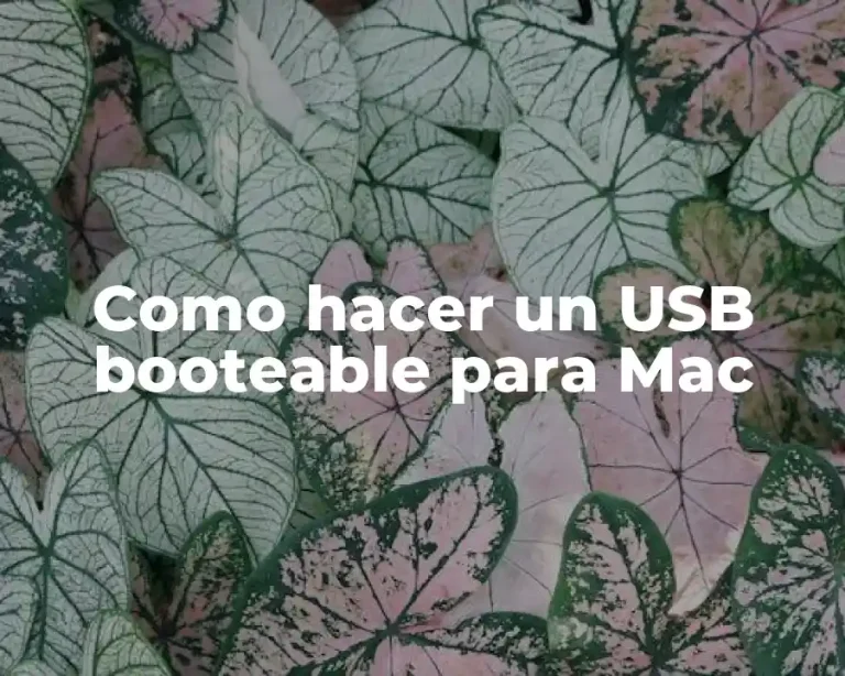 Como hacer un USB booteable para Mac