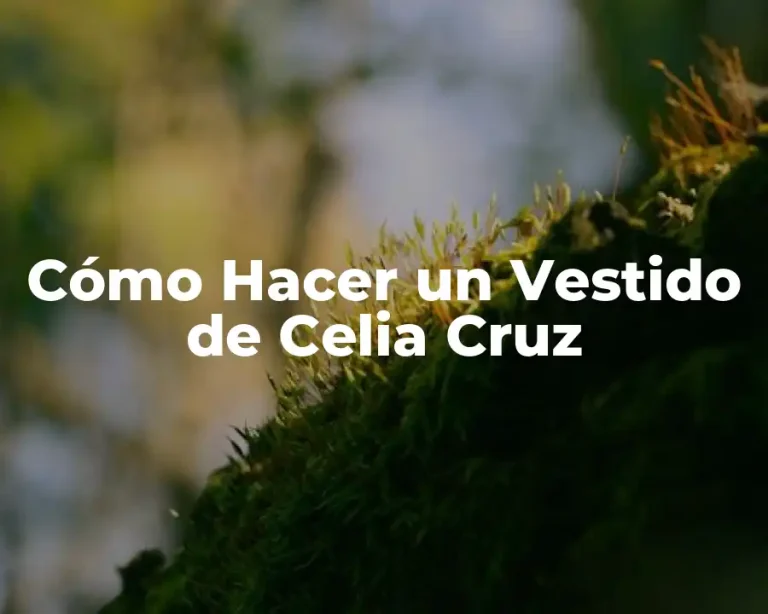 Cómo Hacer un Vestido de Celia Cruz