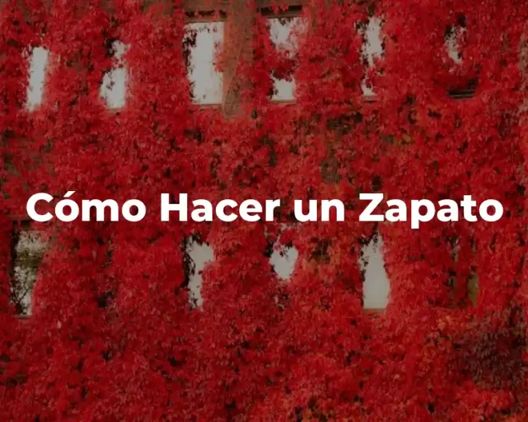 Cómo Hacer un Zapato