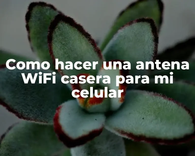 Como hacer una antena WiFi casera para mi celular