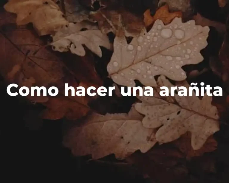 Como hacer una arañita