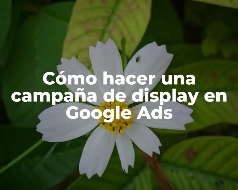 Cómo hacer una campaña de display en Google Ads