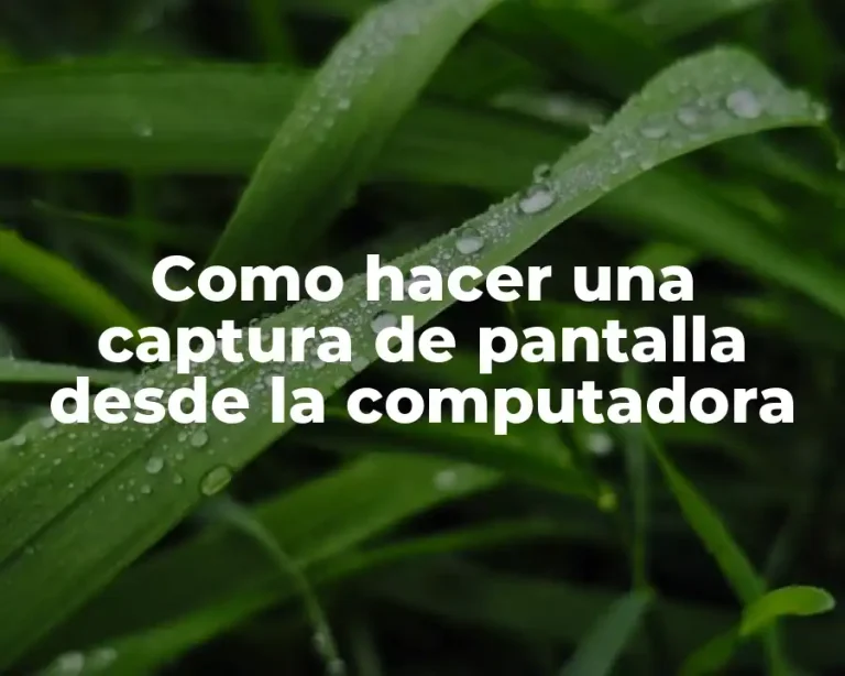 Como hacer una captura de pantalla desde la computadora