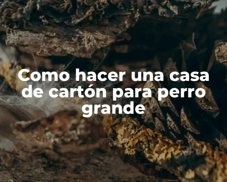 Como hacer una casa de cartón para perro grande