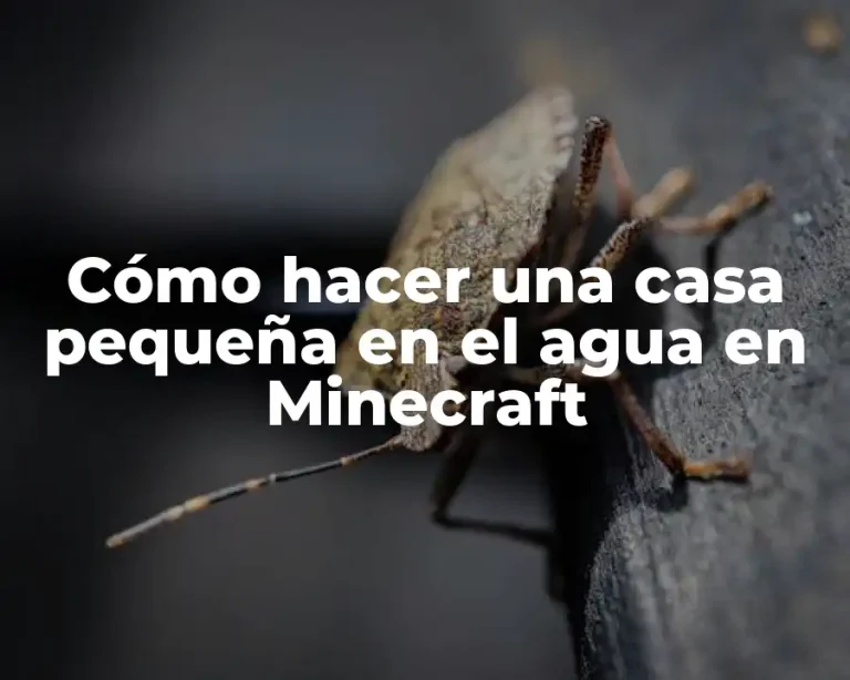 Cómo hacer una casa pequeña en el agua en Minecraft