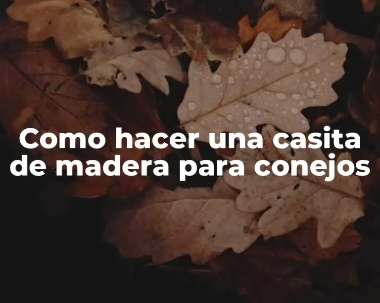 Como hacer una casita de madera para conejos