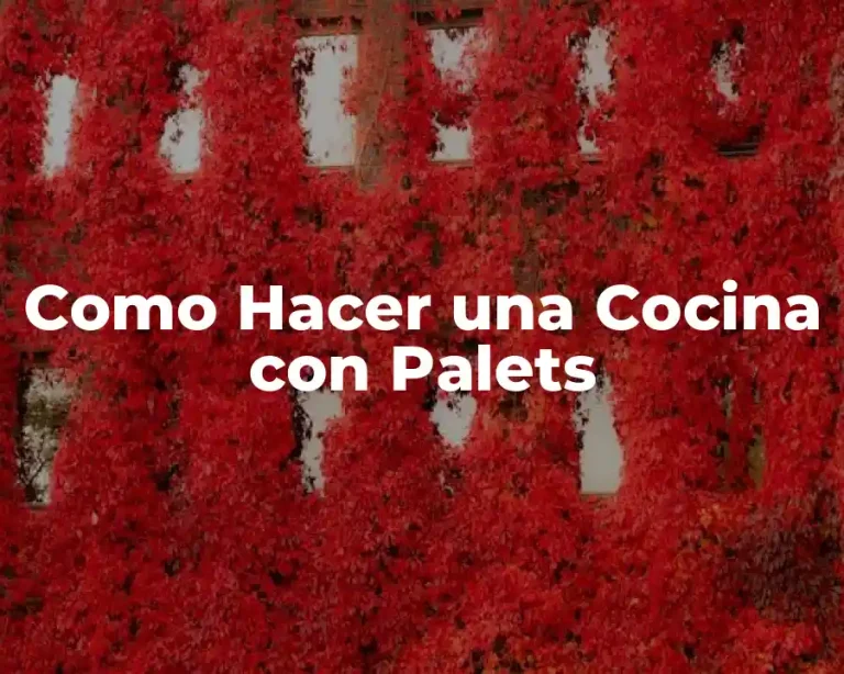 Como Hacer una Cocina con Palets