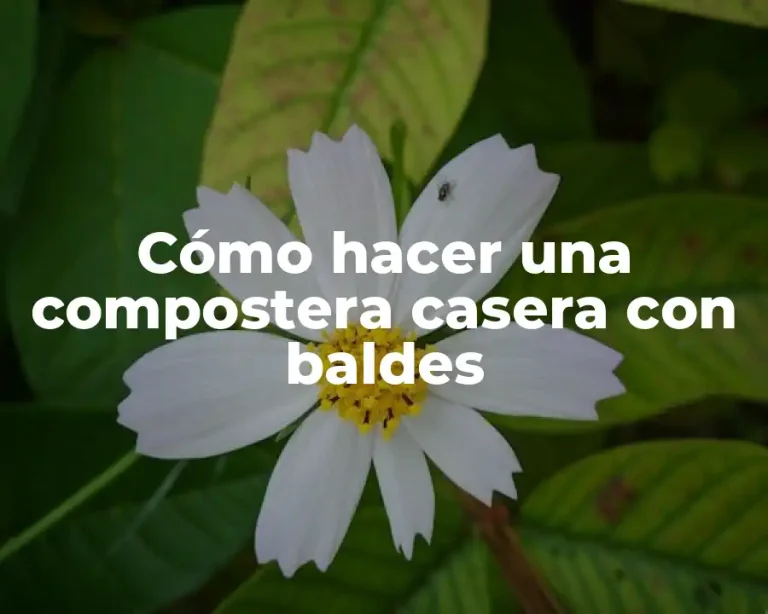 Cómo hacer una compostera casera con baldes