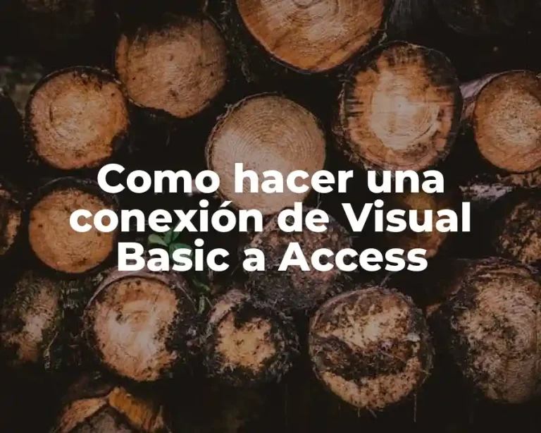 Como hacer una conexión de Visual Basic a Access