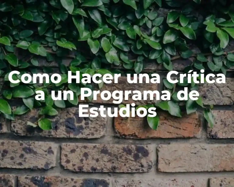 Como Hacer una Crítica a un Programa de Estudios