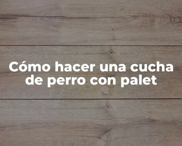 Cómo hacer una cucha de perro con palet