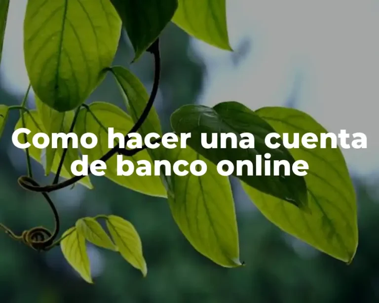 Como hacer una cuenta de banco online