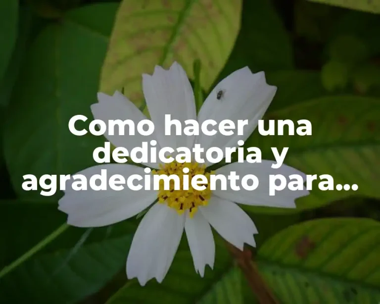 Como hacer una dedicatoria y agradecimiento para una tesis