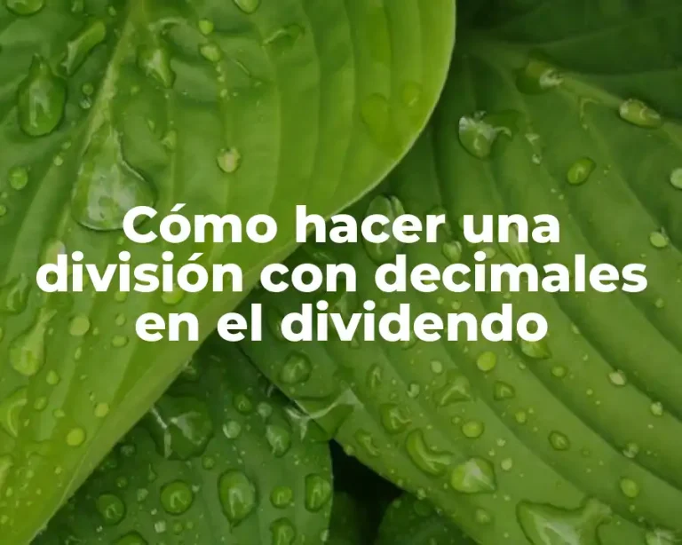 Cómo hacer una división con decimales en el dividendo