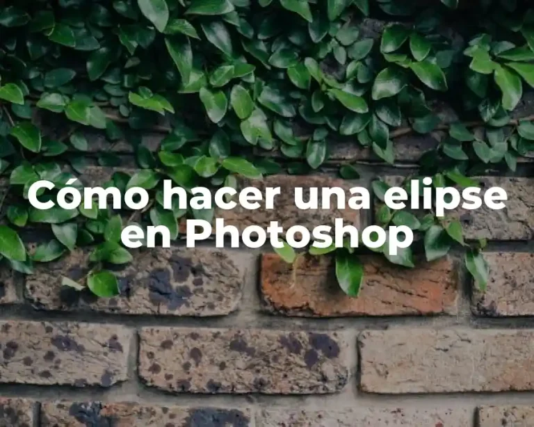 Cómo hacer una elipse en Photoshop
