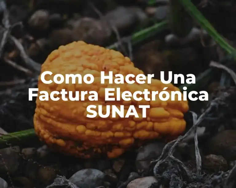 Como Hacer Una Factura Electrónica SUNAT