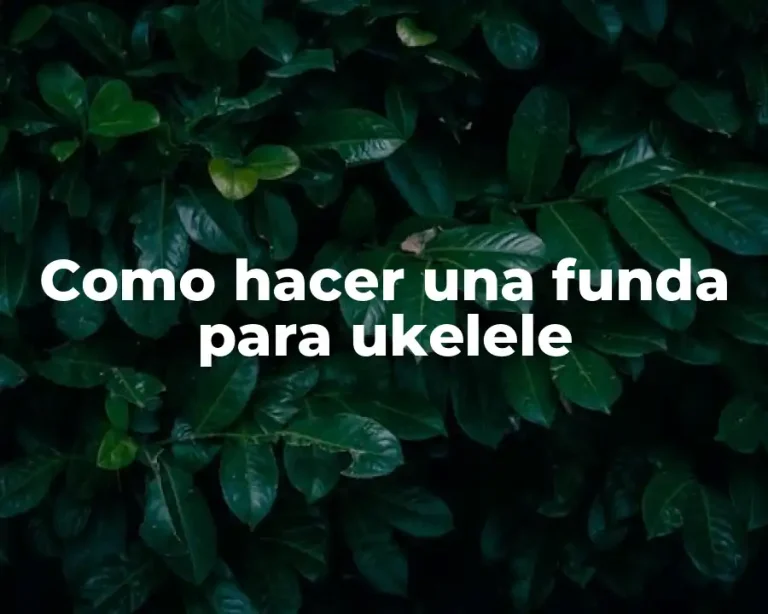 Como hacer una funda para ukelele