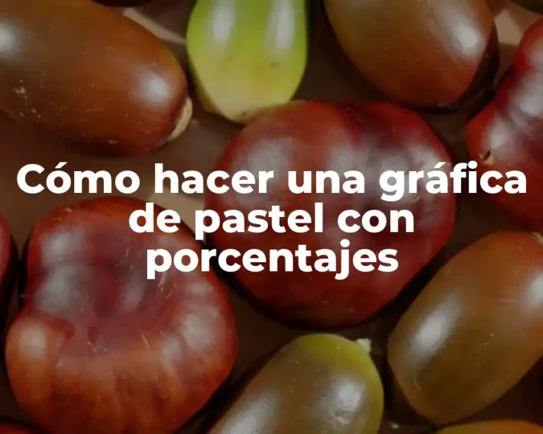Cómo hacer una gráfica de pastel con porcentajes