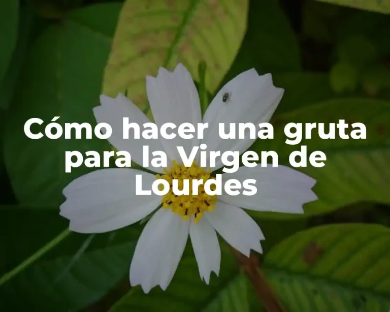 Cómo hacer una gruta para la Virgen de Lourdes