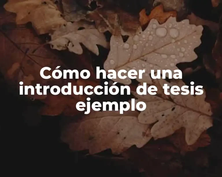 Cómo hacer una introducción de tesis ejemplo
